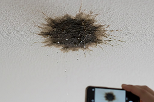 Lekkage bij de buren? Zo bewijs je eenvoudig de bron van het probleem - 14.png